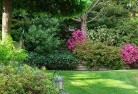 Palmerston NTlandscape-gardener-46.jpg; ?>