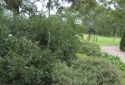 Palmerston NTresidential-landscaping-35.jpg; ?>