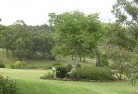 Palmerston NTresidential-landscaping-40.jpg; ?>