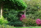 Palmerston NTresidential-landscaping-74.jpg; ?>